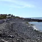 Ray * Palm-mar